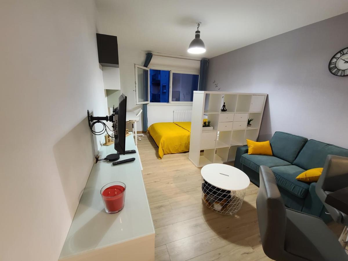 Magnifique Studio 26M2 Belfort Exteriér fotografie